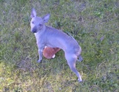 Enlarge photo 10