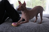 Enlarge photo 12