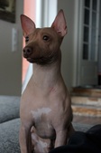 Enlarge photo 13