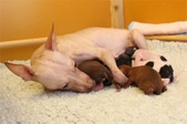Enlarge photo 15