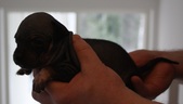 Enlarge photo 2