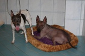 Enlarge photo 10