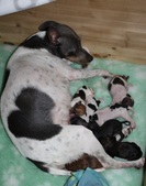 Enlarge photo 14