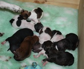 Enlarge photo 13