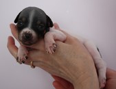 Enlarge photo 6