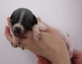 Enlarge photo 7