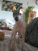 Enlarge photo 14