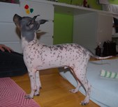 Enlarge photo 13