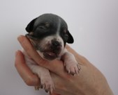 Enlarge photo 6