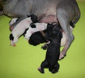 Enlarge photo 3