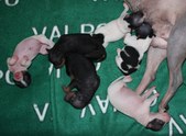 Enlarge photo 10