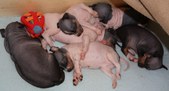 Enlarge photo 13