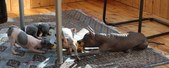Enlarge photo 22