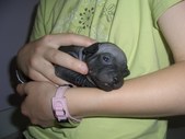 Enlarge photo 15