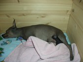 Enlarge photo 3