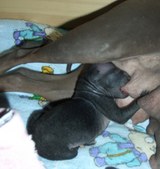 Enlarge photo 4
