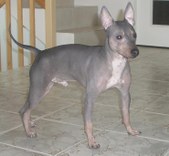 Urkki (Sarantais Born To Be Big)