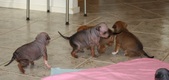 Enlarge photo 16