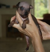 Enlarge photo 11