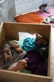 Enlarge photo 23