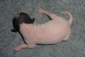Enlarge photo 3