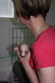 Enlarge photo 11