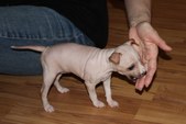 Enlarge photo 15