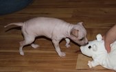 Enlarge photo 17