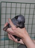 Enlarge photo 7