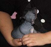 Enlarge photo 13