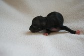 Enlarge photo 2