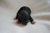 Enlarge photo 3
