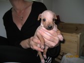 Enlarge photo 12
