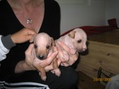 Enlarge photo 13