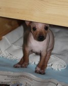 Enlarge photo 16