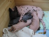 Enlarge photo 22
