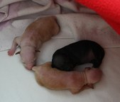 Enlarge photo 9