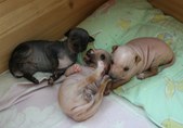 Enlarge photo 16