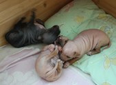 Enlarge photo 17