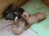 Enlarge photo 18