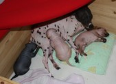 Enlarge photo 19