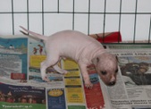 Enlarge photo 8
