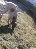Enlarge photo 16