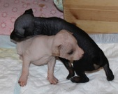 Enlarge photo 6