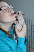 Enlarge photo 11