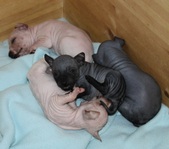 Enlarge photo 8