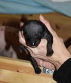 Enlarge photo 4