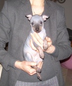 Enlarge photo 10