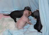 Enlarge photo 5