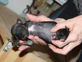Enlarge photo 3
